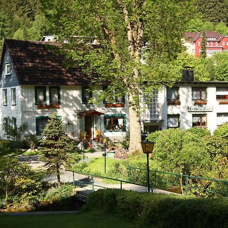 Haus Gruene Insel - Ferienwohnungen Altenau  Exterior photo