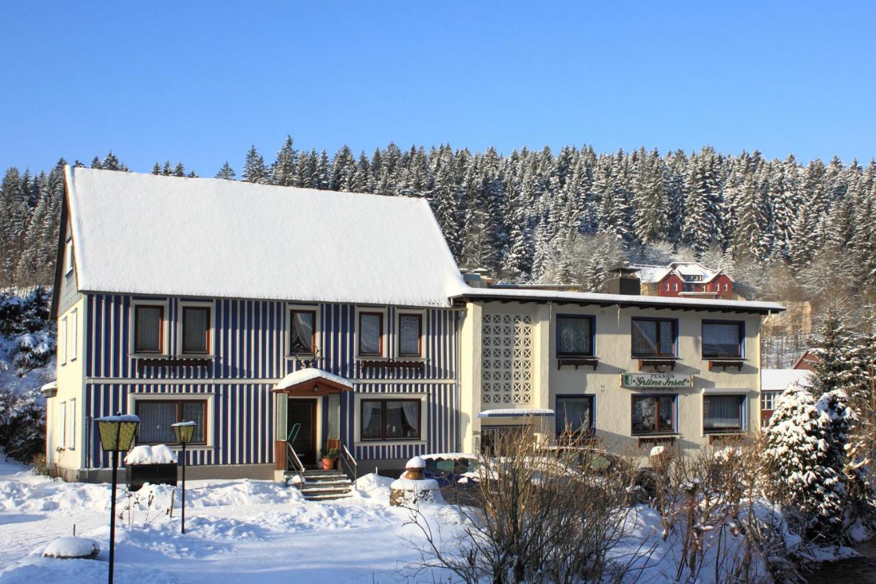 Haus Gruene Insel - Ferienwohnungen Altenau  Exterior photo