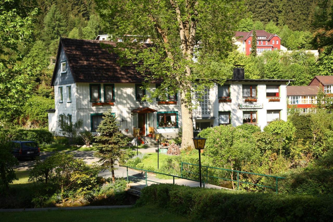 Haus Gruene Insel - Ferienwohnungen Altenau  Exterior photo