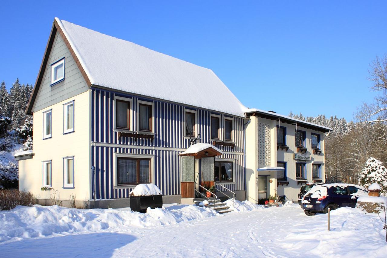 Haus Gruene Insel - Ferienwohnungen Altenau  Exterior photo